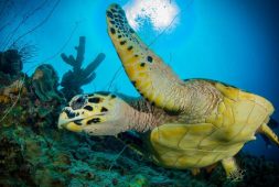 home-content-04 home-content-04